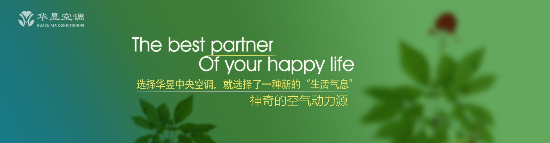 撼树蚍蜉网
